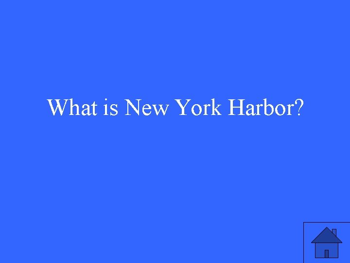 What is New York Harbor? 