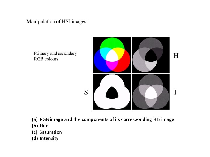 (a) (b) (c) (d) RGB image and the components of its corresponding HIS image