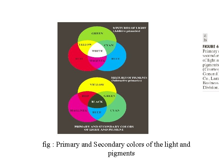 fig : Primary and Secondary colors of the light and pigments 