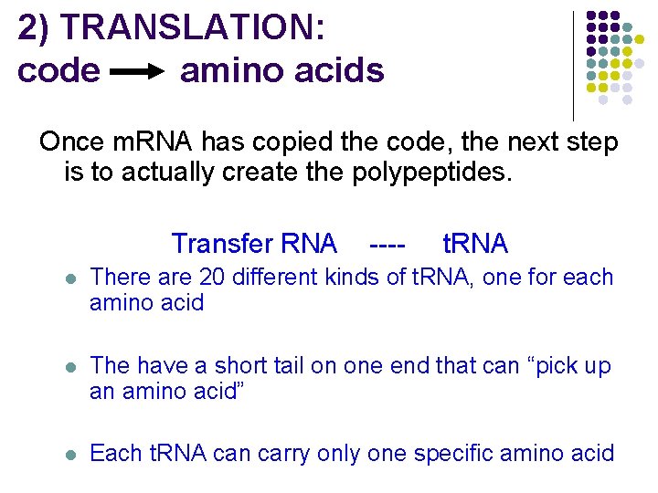 2) TRANSLATION: code amino acids Once m. RNA has copied the code, the next