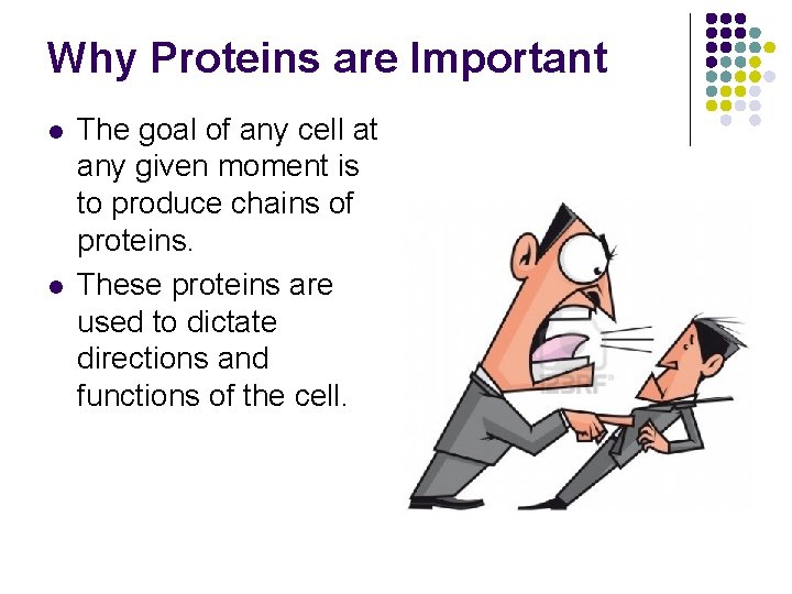 Why Proteins are Important l l The goal of any cell at any given