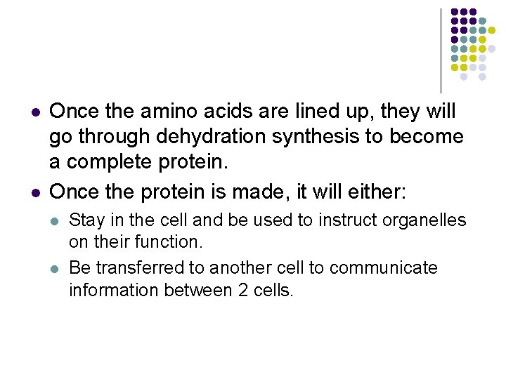 l l Once the amino acids are lined up, they will go through dehydration