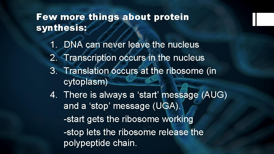 Few more things about protein synthesis: 1. DNA can never leave the nucleus 2.