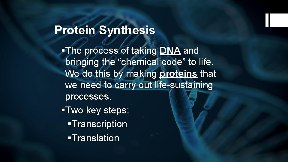 Protein Synthesis §The process of taking DNA and bringing the “chemical code” to life.