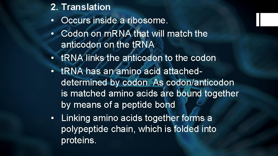 2. Translation • Occurs inside a ribosome. • Codon on m. RNA that will