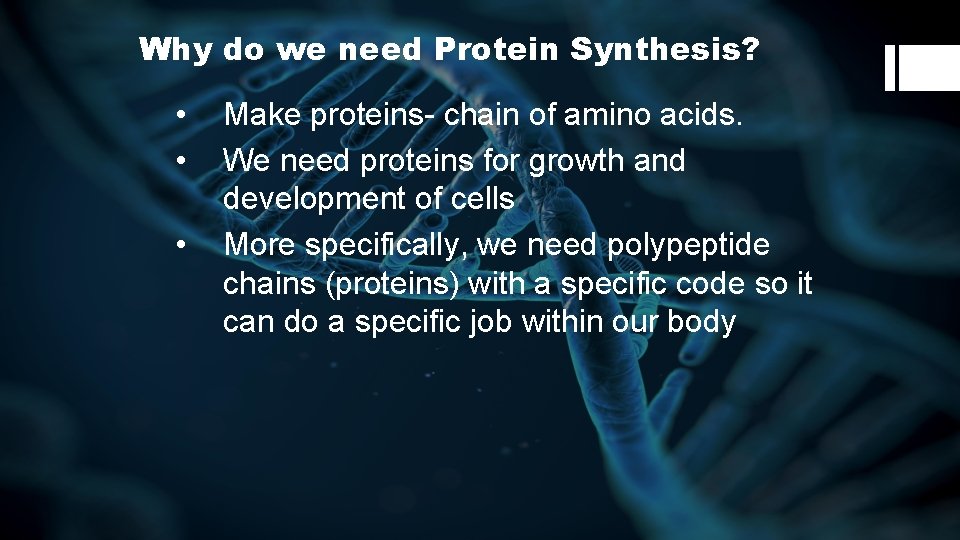 Why do we need Protein Synthesis? • • • Make proteins- chain of amino