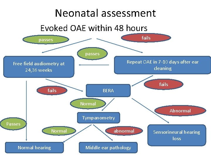 Neonatal assessment Evoked OAE within 48 hours fails passes Repeat OAE in 7 -10 Neonatal assessment Evoked OAE within 48 hours fails passes Repeat OAE in 7 -10