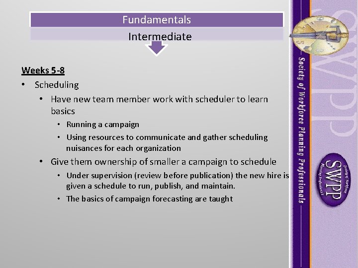 Fundamentals Intermediate Weeks 5 -8 • Scheduling • Have new team member work with Fundamentals Intermediate Weeks 5 -8 • Scheduling • Have new team member work with