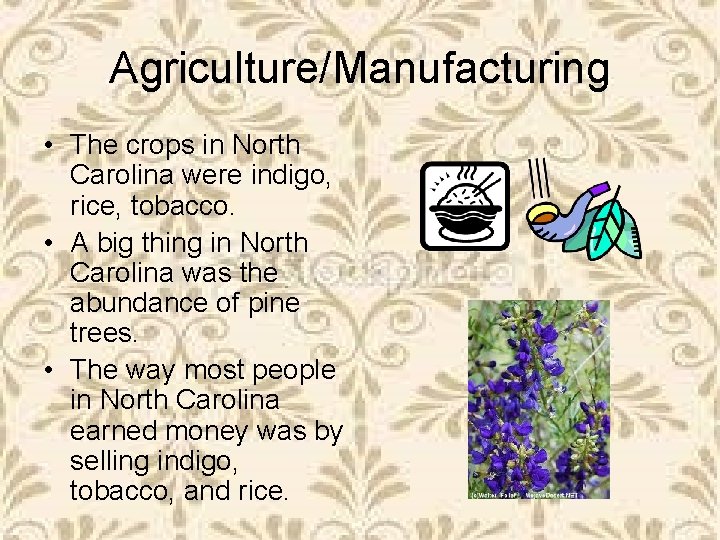 Agriculture/Manufacturing • The crops in North Carolina were indigo, rice, tobacco. • A big