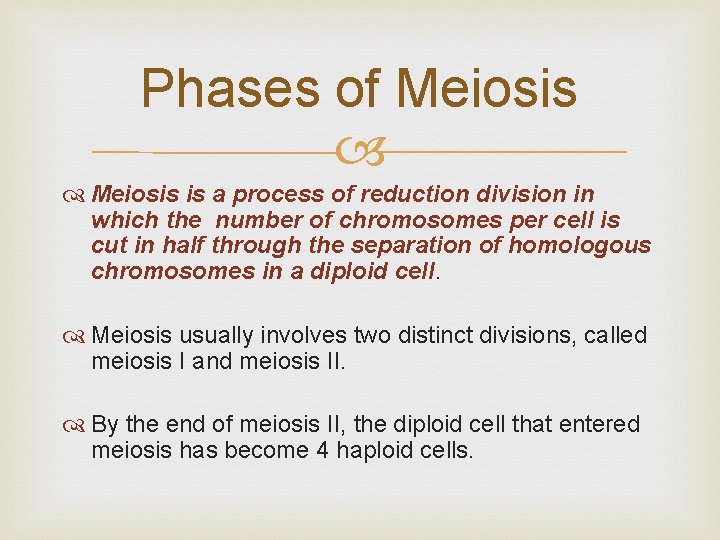 Phases of Meiosis is a process of reduction division in which the number of