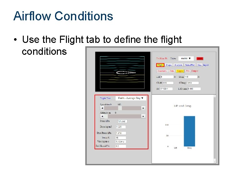 Airflow Conditions • Use the Flight tab to define the flight conditions 