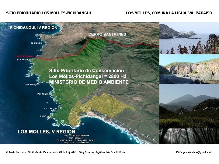 SITIO PRIORITARIO LOS MOLLES-PICHIDANGUI Junta de Vecinos, Sindicato de Pescadores, Club Deportivo, Ong Guanay,