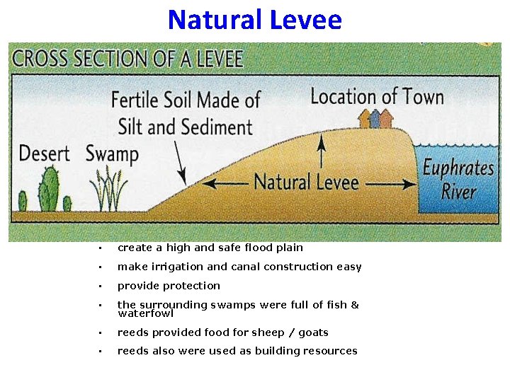 Natural Levee • create a high and safe flood plain • make irrigation and