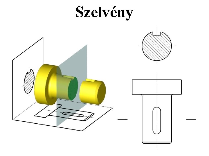Szelvény Szelvény