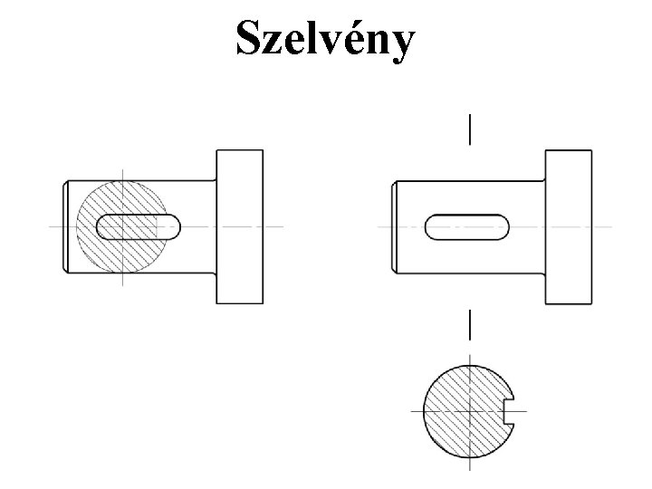 Szelvény Szelvény