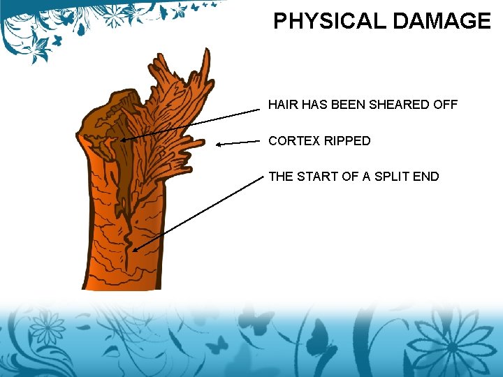 PHYSICAL DAMAGE HAIR HAS BEEN SHEARED OFF CORTEX RIPPED THE START OF A SPLIT