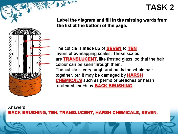 TASK 2 Label the diagram and fill in the missing words from the list