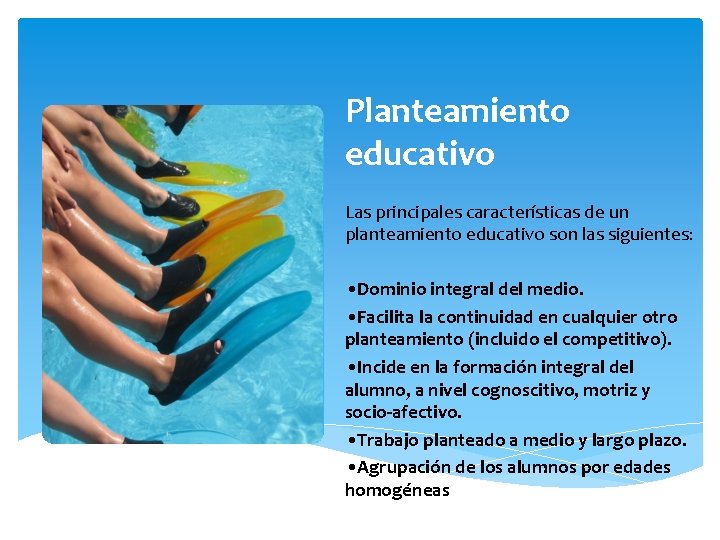 Planteamiento educativo Las principales características de un planteamiento educativo son las siguientes: • Dominio