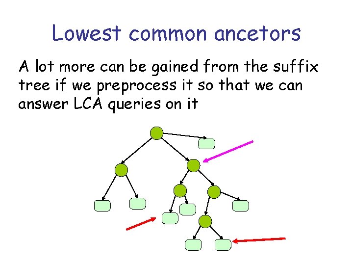 Lowest common ancetors A lot more can be gained from the suffix tree if