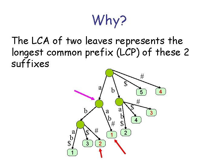 Why? The LCA of two leaves represents the longest common prefix (LCP) of these