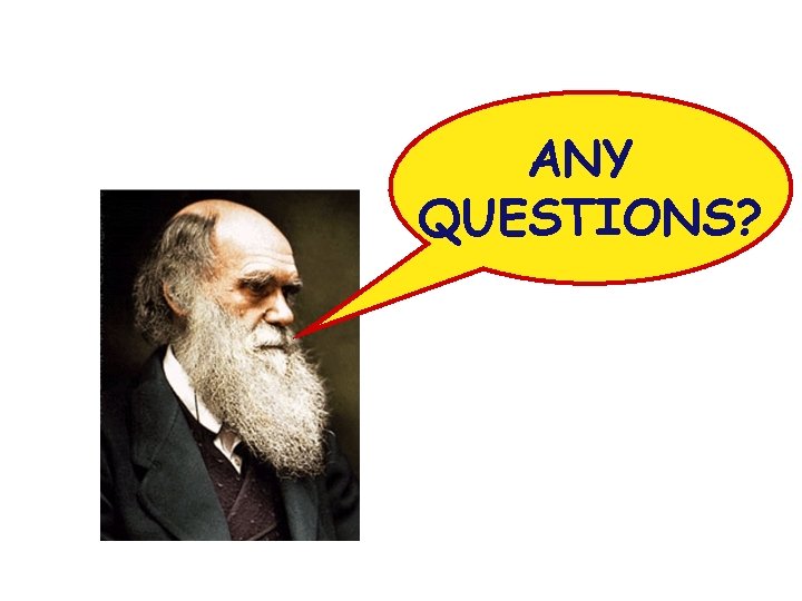 ANY QUESTIONS? 