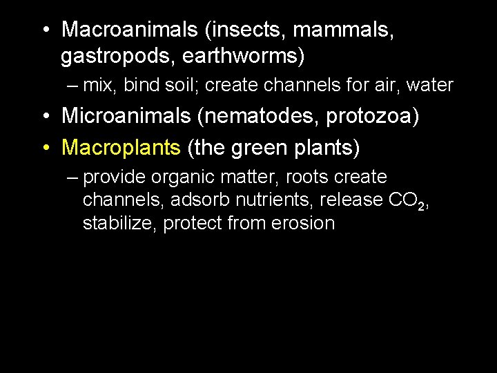  • Macroanimals (insects, mammals, gastropods, earthworms) – mix, bind soil; create channels for