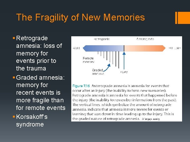 The Fragility of New Memories § Retrograde amnesia: loss of memory for events prior