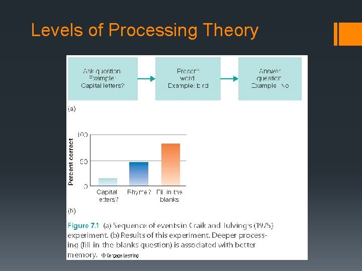 Levels of Processing Theory 