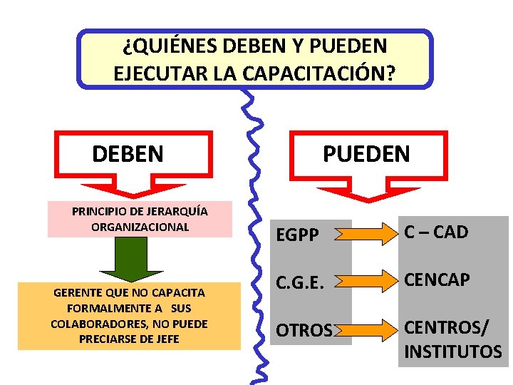 ¿QUIÉNES DEBEN Y PUEDEN EJECUTAR LA CAPACITACIÓN? DEBEN PRINCIPIO DE JERARQUÍA ORGANIZACIONAL GERENTE QUE