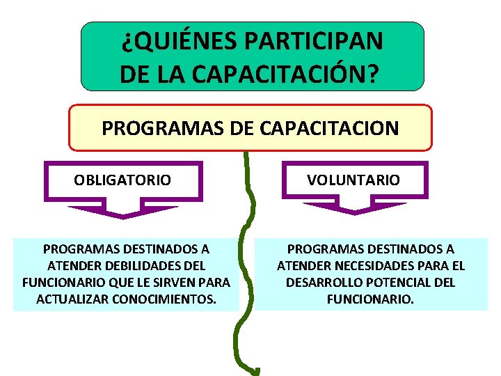 ¿QUIÉNES PARTICIPAN DE LA CAPACITACIÓN? PROGRAMAS DE CAPACITACION OBLIGATORIO PROGRAMAS DESTINADOS A ATENDER DEBILIDADES