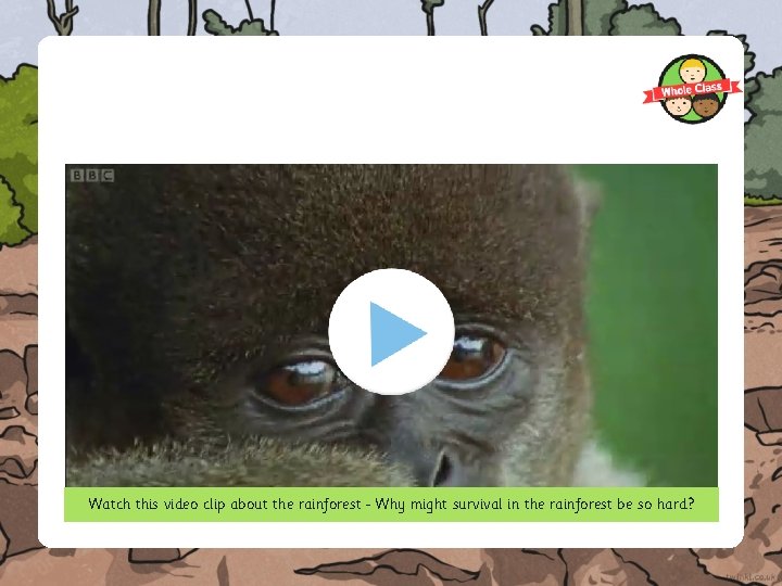 Watch this video clip about the rainforest Why might survival in the rainforest be