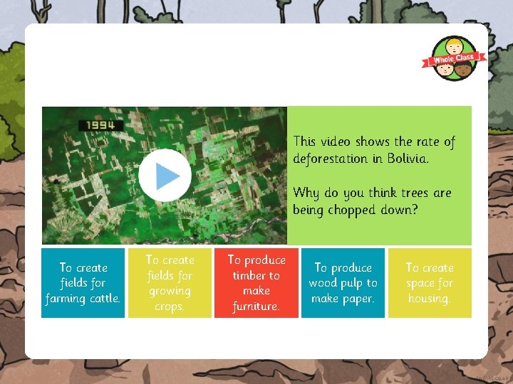 This video shows the rate of deforestation in Bolivia. Why do you think trees
