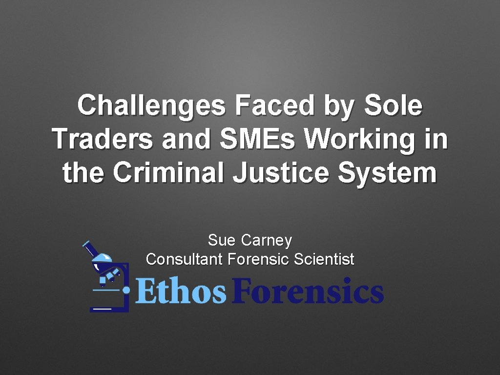 Challenges Faced by Sole Traders and SMEs Working in the Criminal Justice System Sue