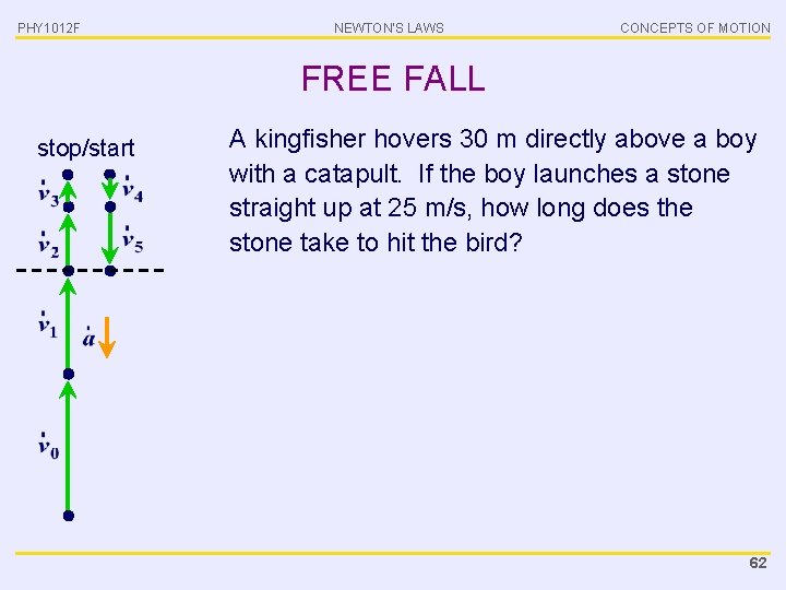 PHY 1012 F NEWTON’S LAWS CONCEPTS OF MOTION FREE FALL stop/start A kingfisher hovers