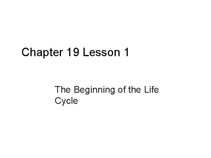Chapter 19 Lesson 1 The Beginning of the Life Cycle 