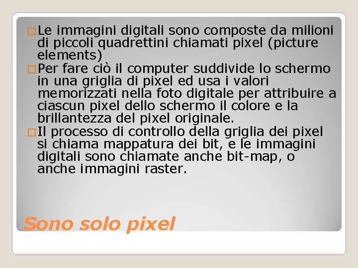 �Le immagini digitali sono composte da milioni di piccoli quadrettini chiamati pixel (picture elements)