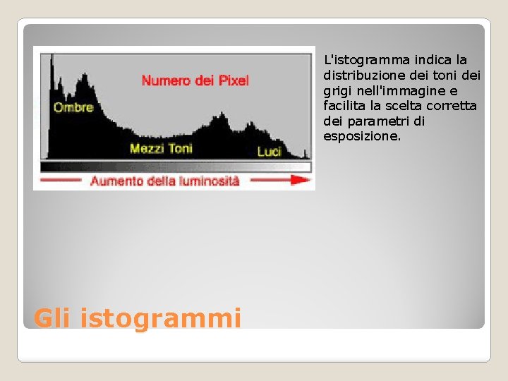 L'istogramma indica la distribuzione dei toni dei grigi nell'immagine e facilita la scelta corretta