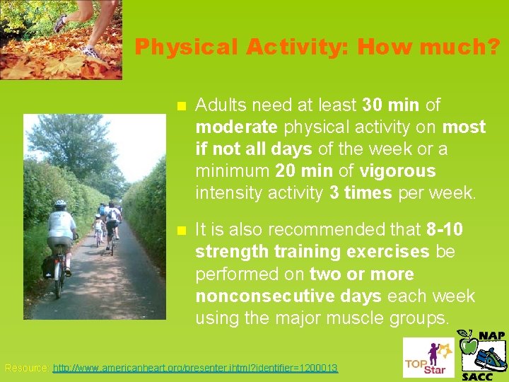 Physical Activity: How much? n Adults need at least 30 min of moderate physical