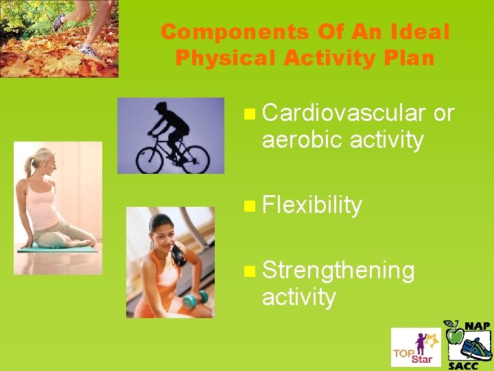 Components Of An Ideal Physical Activity Plan n Cardiovascular aerobic activity n Flexibility n