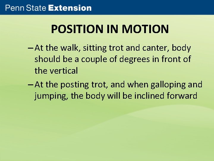 POSITION IN MOTION – At the walk, sitting trot and canter, body should be