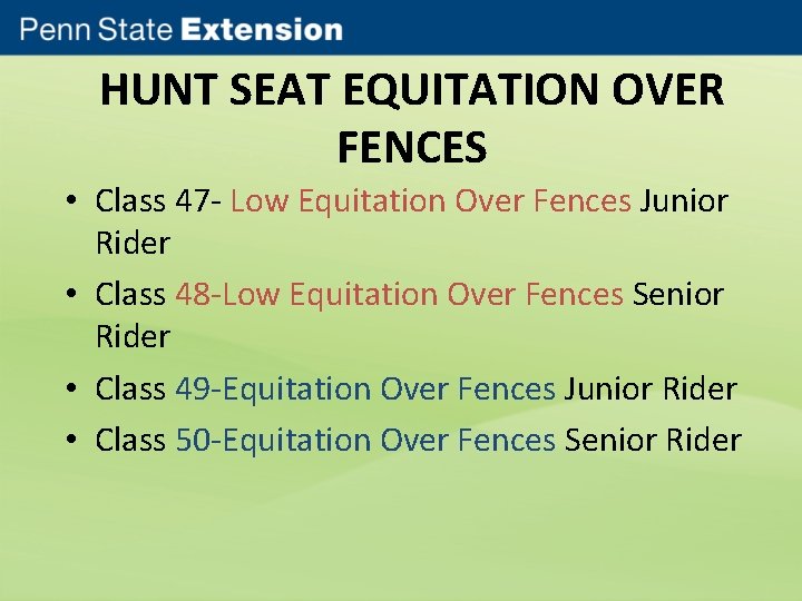 HUNT SEAT EQUITATION OVER FENCES • Class 47 - Low Equitation Over Fences Junior