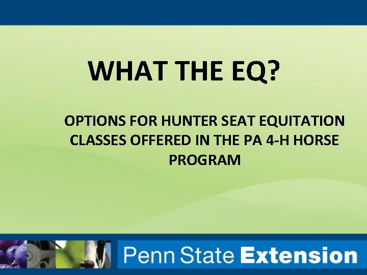 WHAT THE EQ? OPTIONS FOR HUNTER SEAT EQUITATION CLASSES OFFERED IN THE PA 4