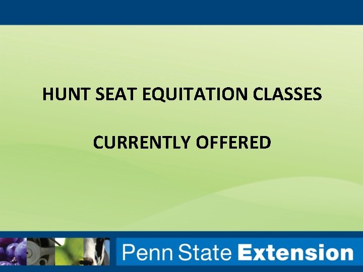 HUNT SEAT EQUITATION CLASSES CURRENTLY OFFERED 