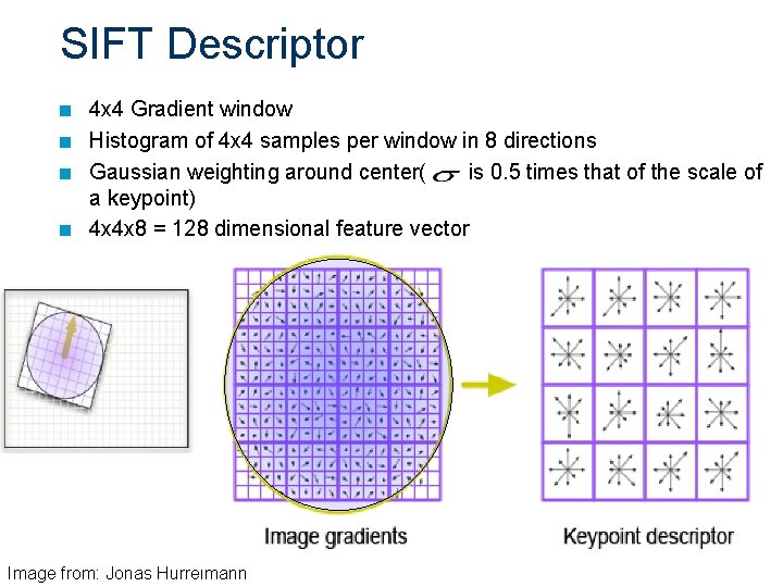 SIFT Descriptor n n 4 x 4 Gradient window Histogram of 4 x 4