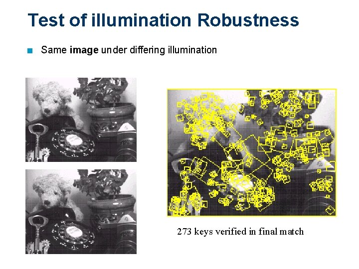Test of illumination Robustness n Same image under differing illumination 273 keys verified in