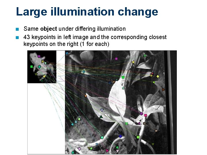 Large illumination change n n Same object under differing illumination 43 keypoints in left