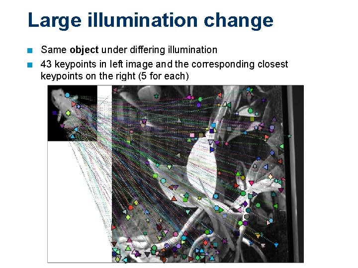 Large illumination change n n Same object under differing illumination 43 keypoints in left