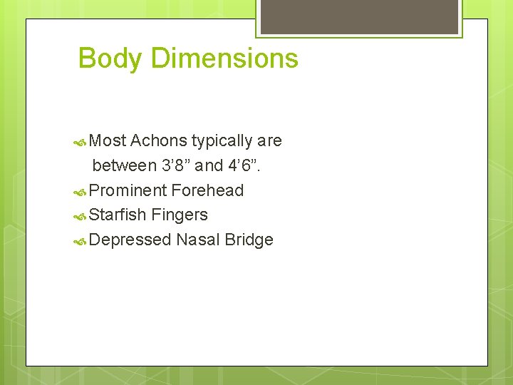 Body Dimensions Most Achons typically are between 3’ 8” and 4’ 6”. Prominent Forehead