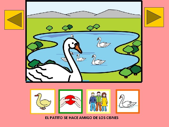 EL PATITO SE HACE AMIGO DE LOS CISNES 