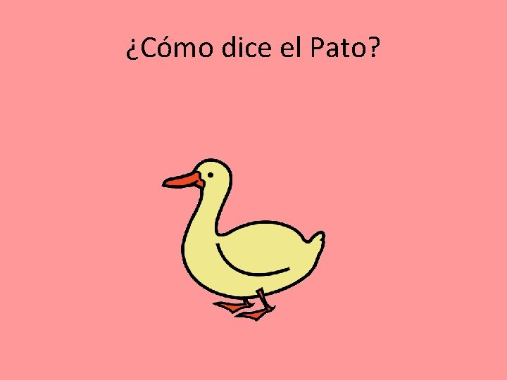 ¿Cómo dice el Pato? 